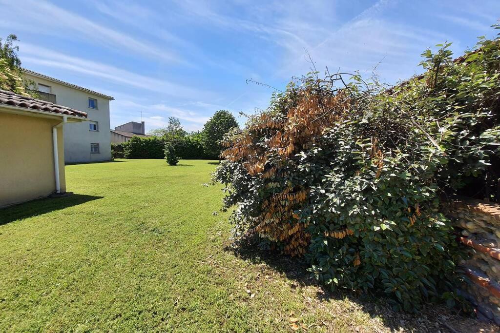 Charmant Appartement Avec Terrasse Et Jardin Au Calme Proche Bus Metro Тулуза Екстериор снимка